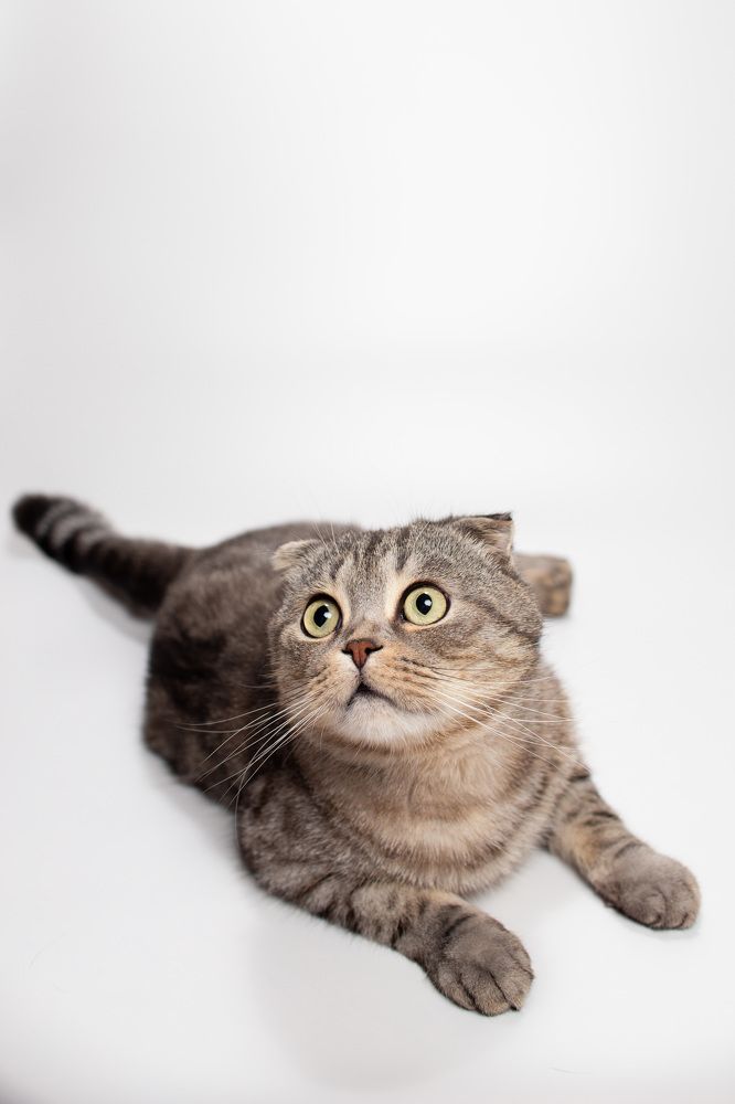 Photograph by Дмитрий Кононенко