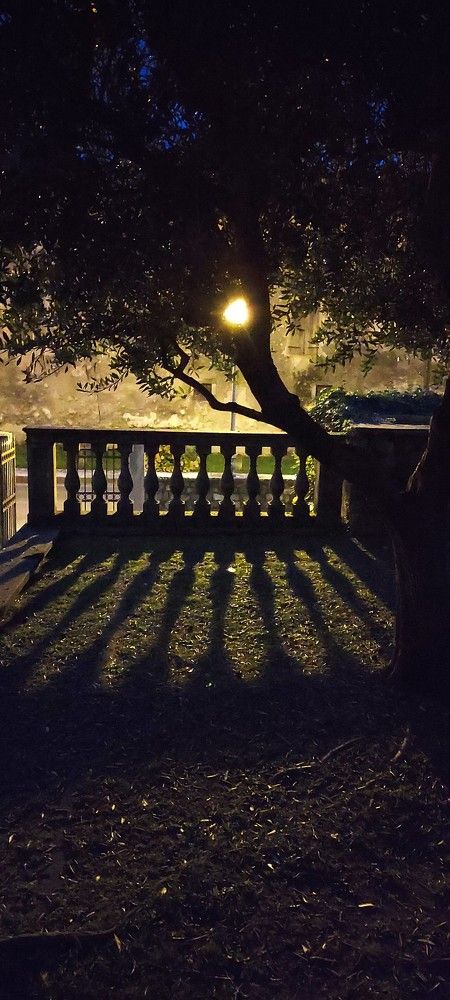 Photograph by Марина Ланг