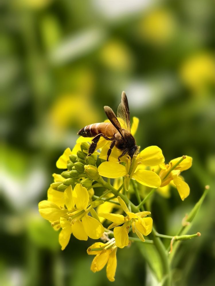 Photograph by SHIV Singh