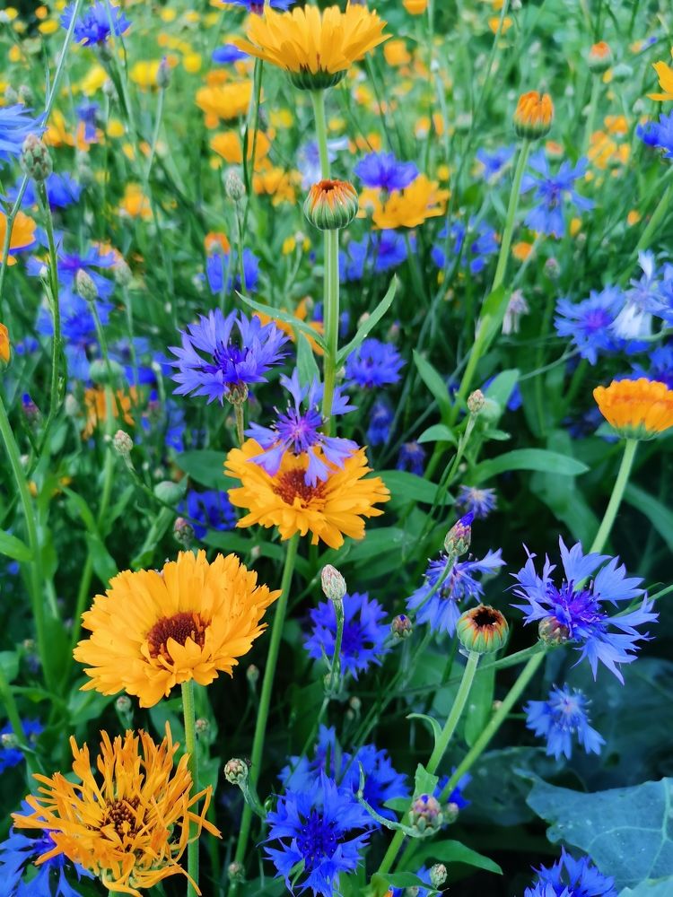 Photograph by Калинина Анастасия