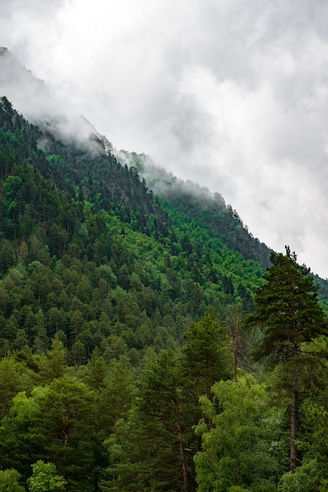 Photograph by Илья Пономарев