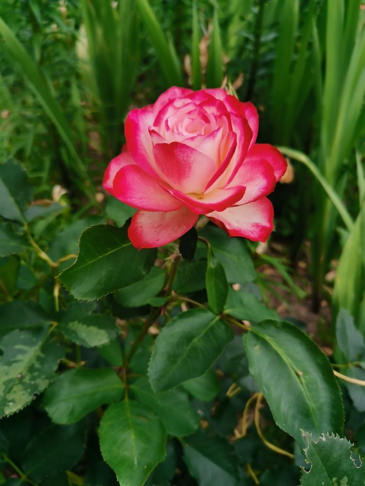 Photograph by Анастасия Мальцева