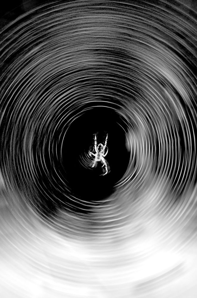 Photograph by Любовь Бусова