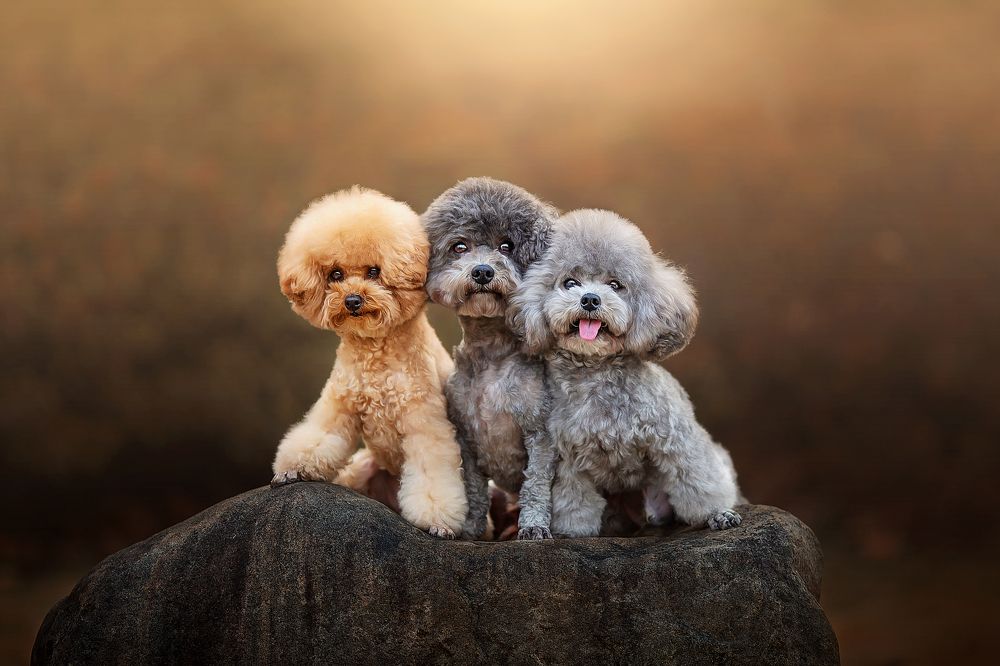 Photograph by 温琪耀