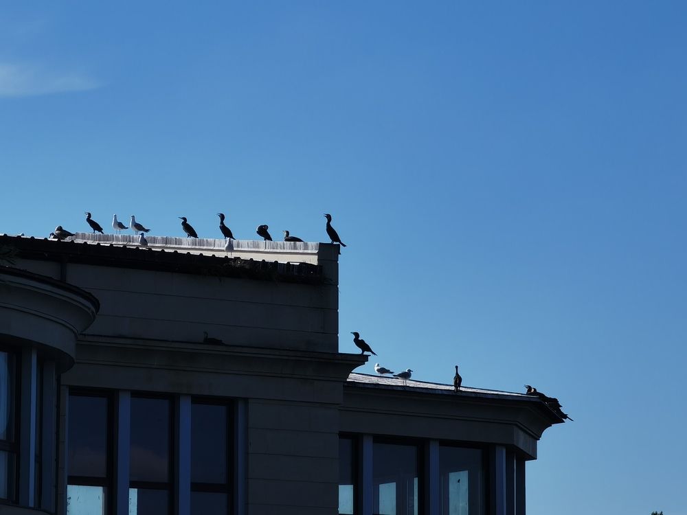 Photograph by Анастасия Мальцева