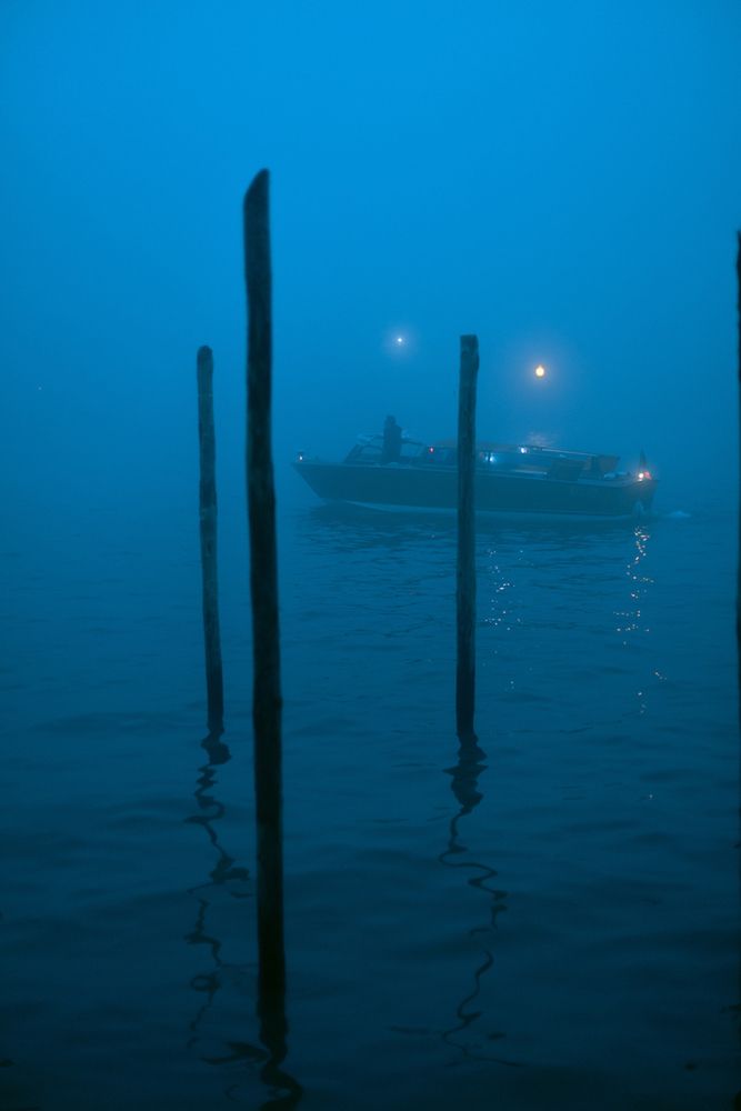 Photograph by Елизавета Калинина