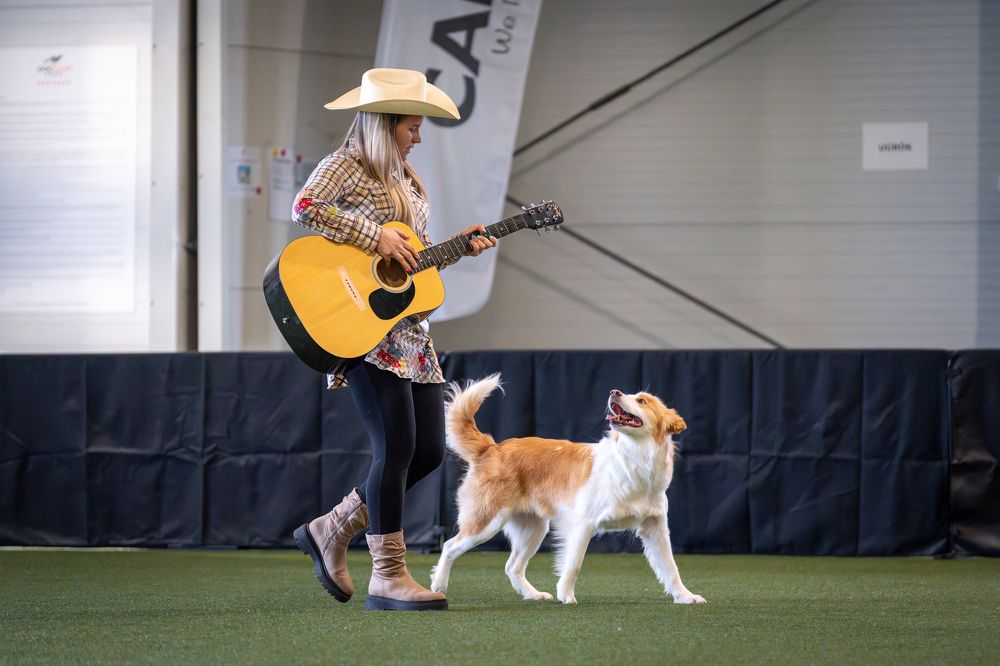 Фотография автора Krisztián Csalami