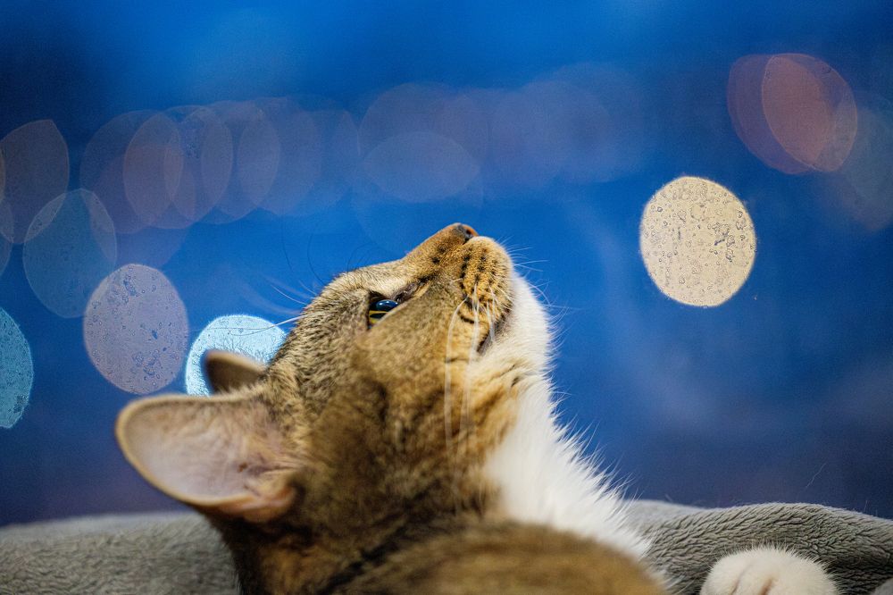 Photograph by Дмитрий Константинов