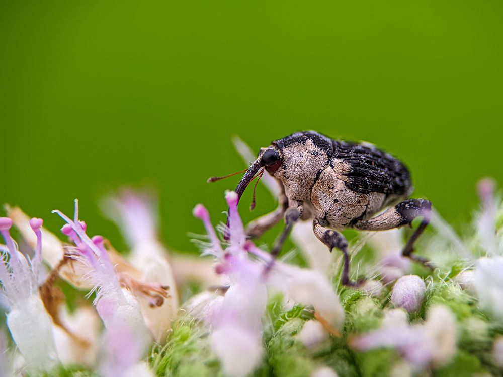 Photograph by Utpal Roy