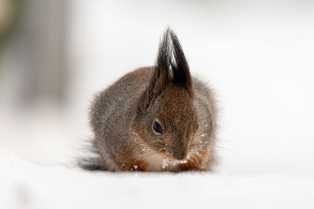 Photograph by Дмитрий Константинов