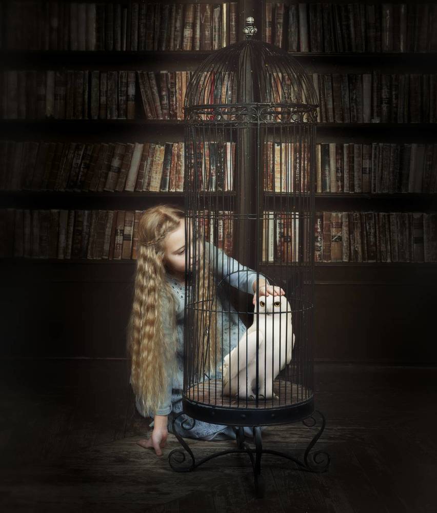 Photograph by Бабаев Зураб