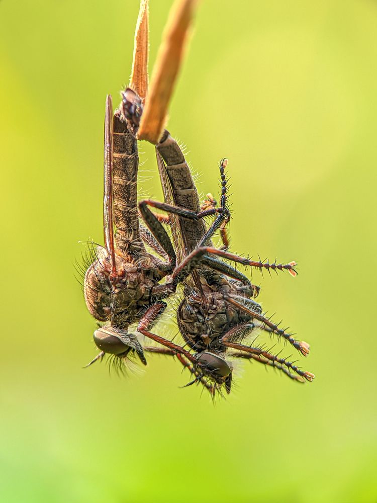 Photograph by Utpal Roy