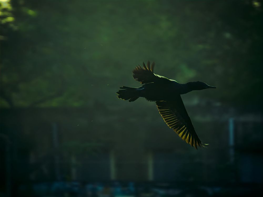 Photograph by Bragadeesh R