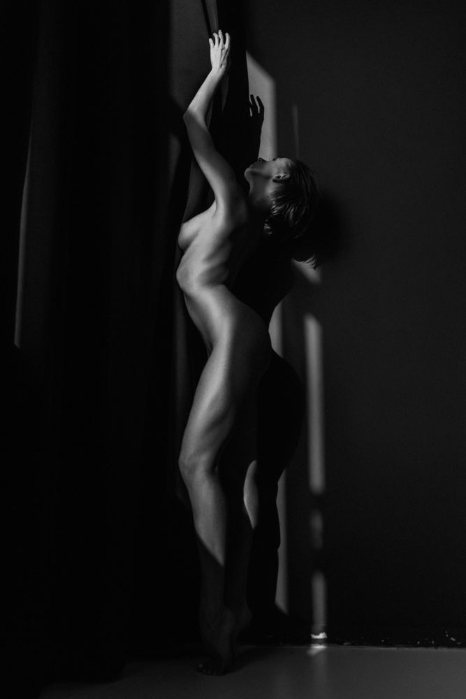 Фотография автора Владимир Никитин