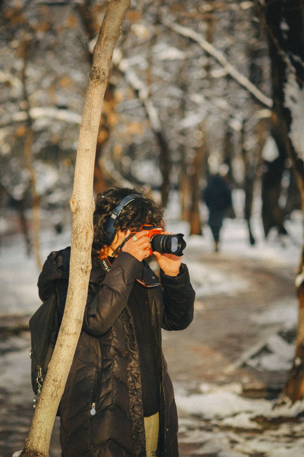 Photo #10353606