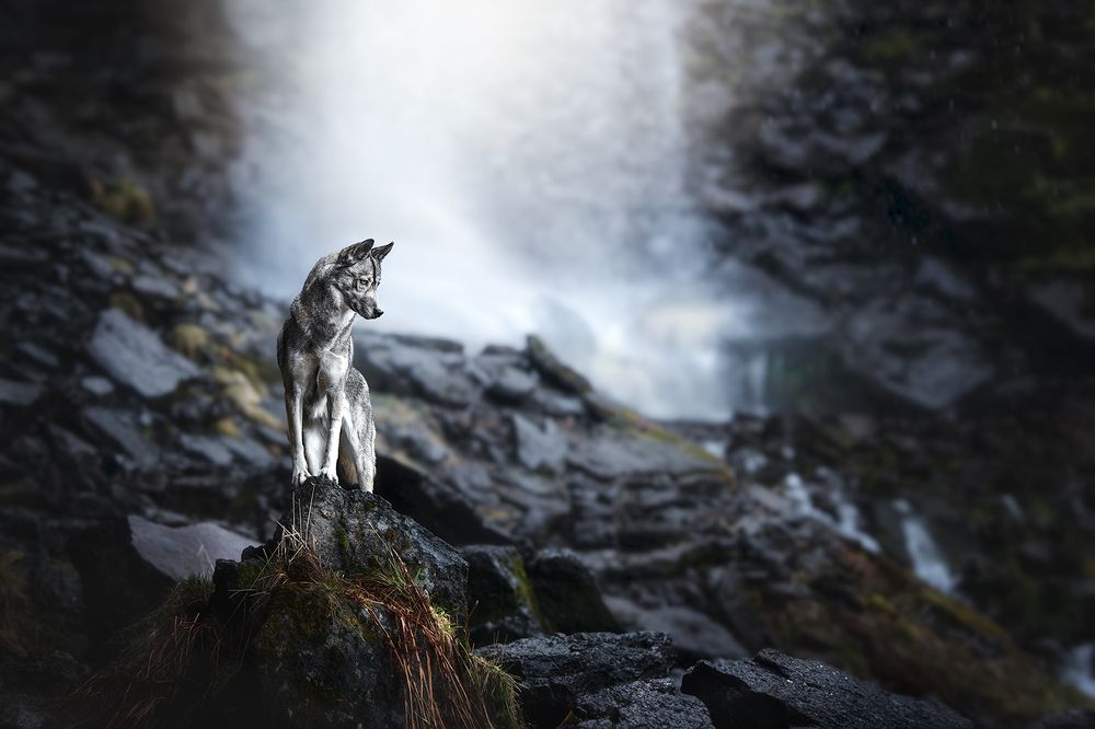 Photograph by Laura Quintanel