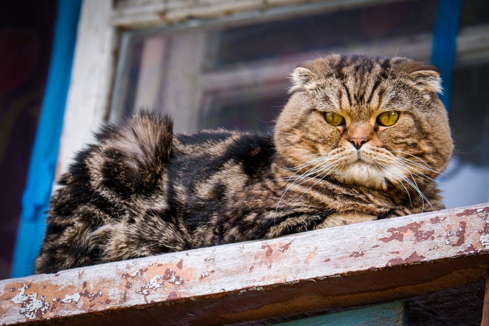 Photograph by Ольга Тюрина