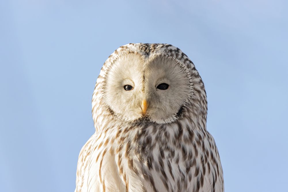 Photograph by Бурыкин Илья