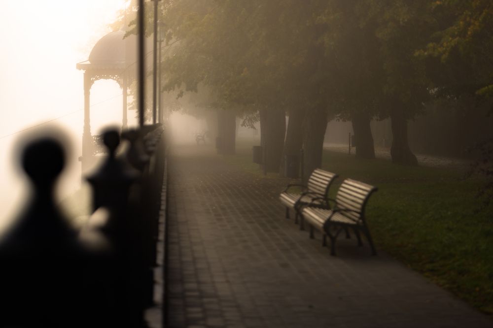 Photograph by Владимир Петухов