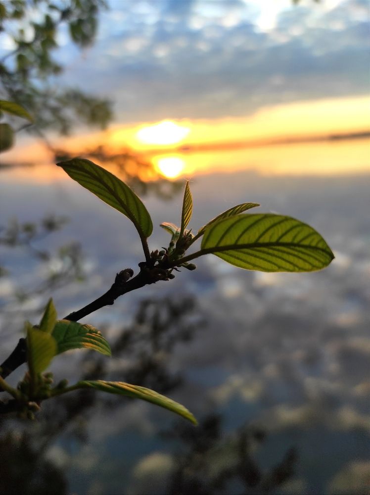Photograph by Светлана Башаева