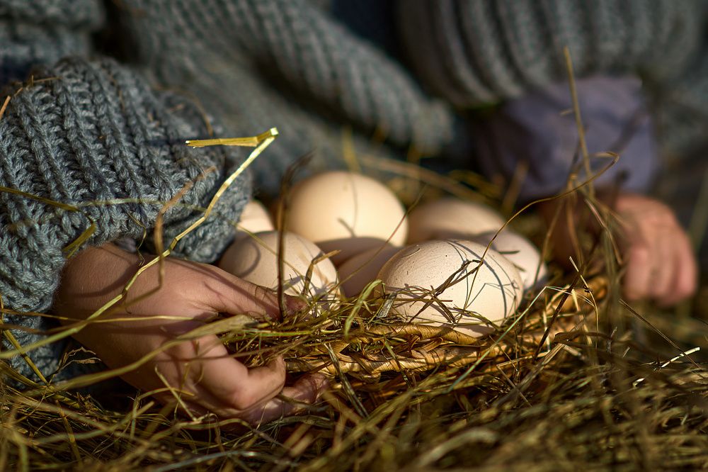 Photograph by Татьяна Клинникова