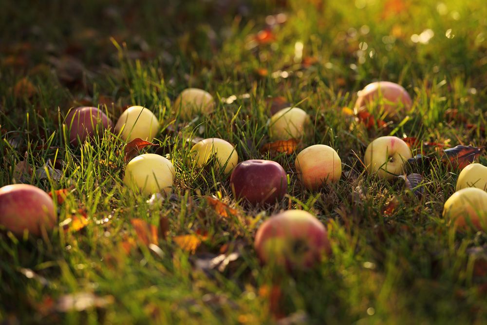 Photograph by Татьяна Клинникова