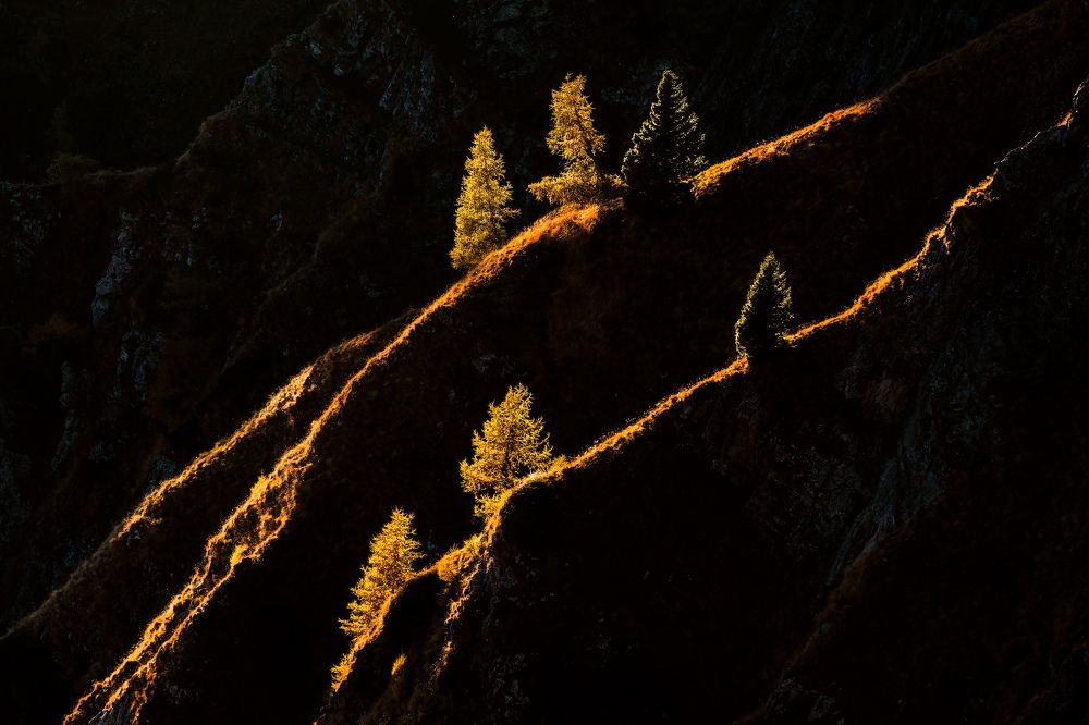 Фотография автора Peter Dužek