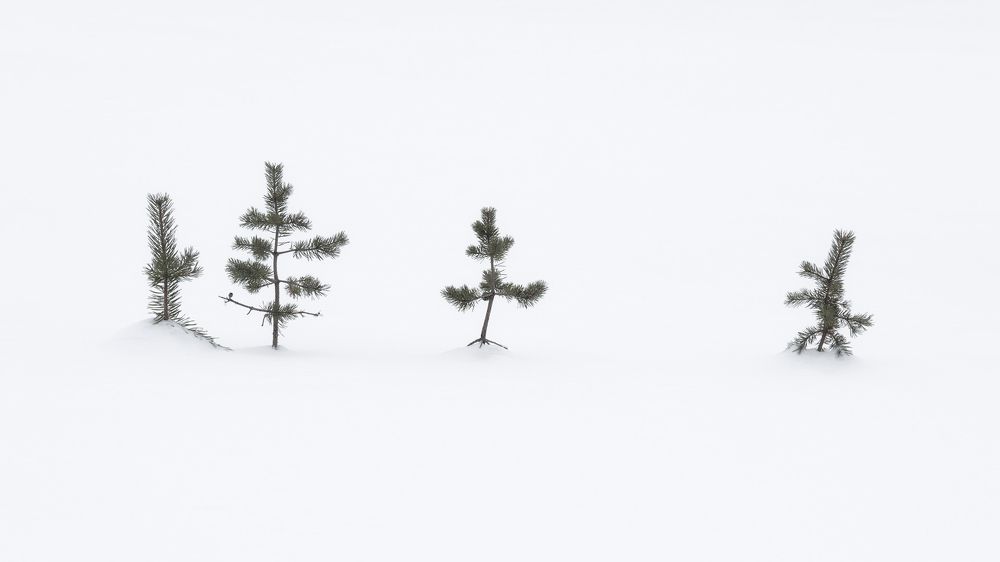 Подростки Кольского