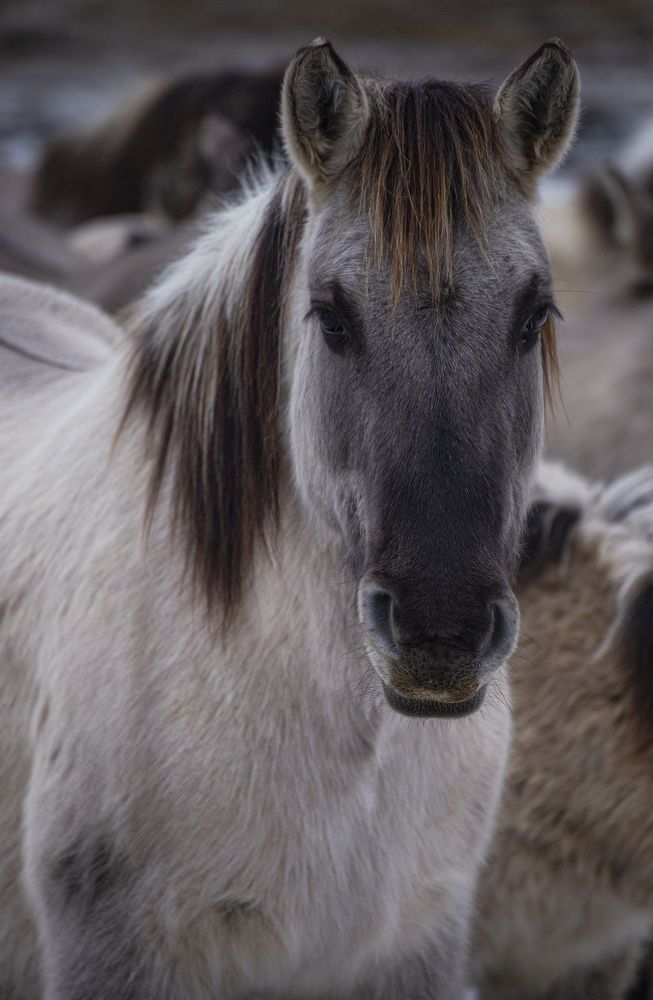 Photograph by Leanid Kulpo