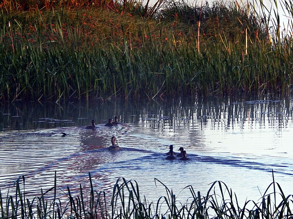 Photograph by Юрий Пучков