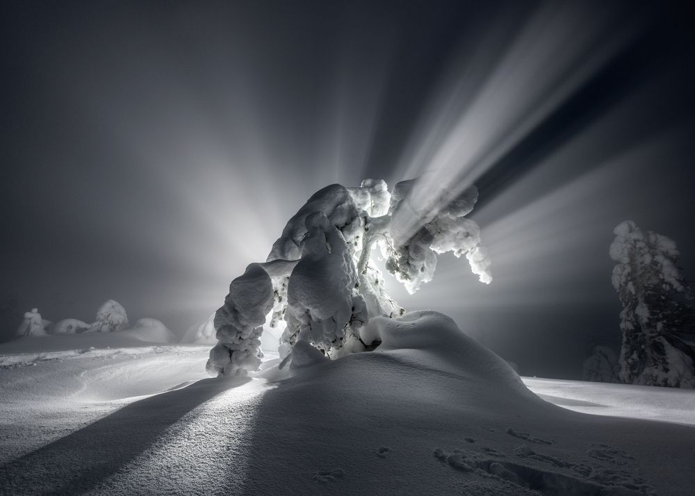 Абориген Кольского