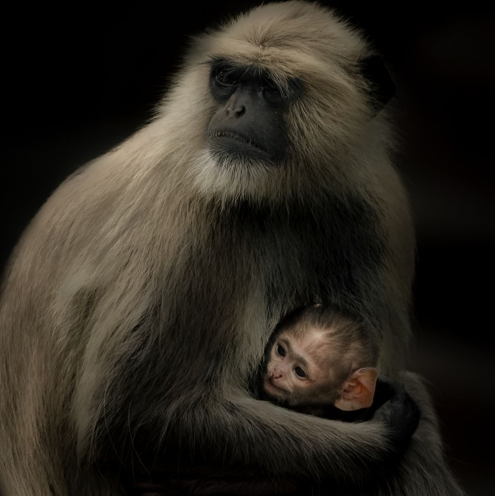 Photograph by Abhijit - khatua