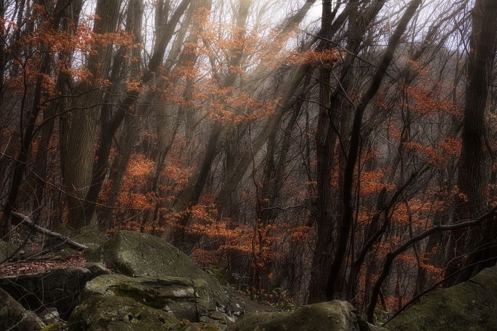 Photograph by Tiến Thành Nguyễn