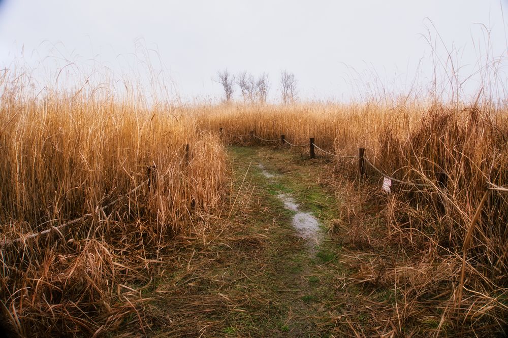 Photograph by Tiến Thành Nguyễn