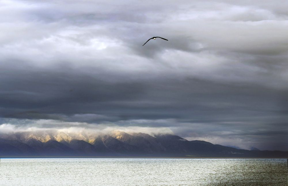 Photograph by Борис Большаков