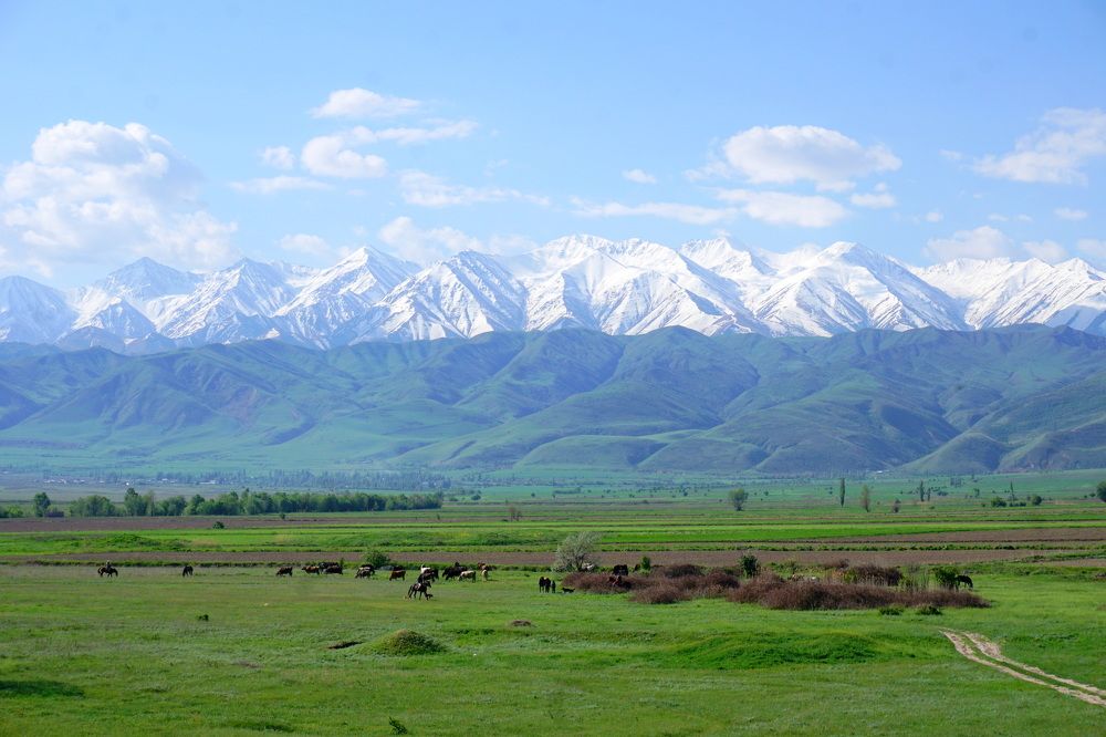 Горы Киргизии