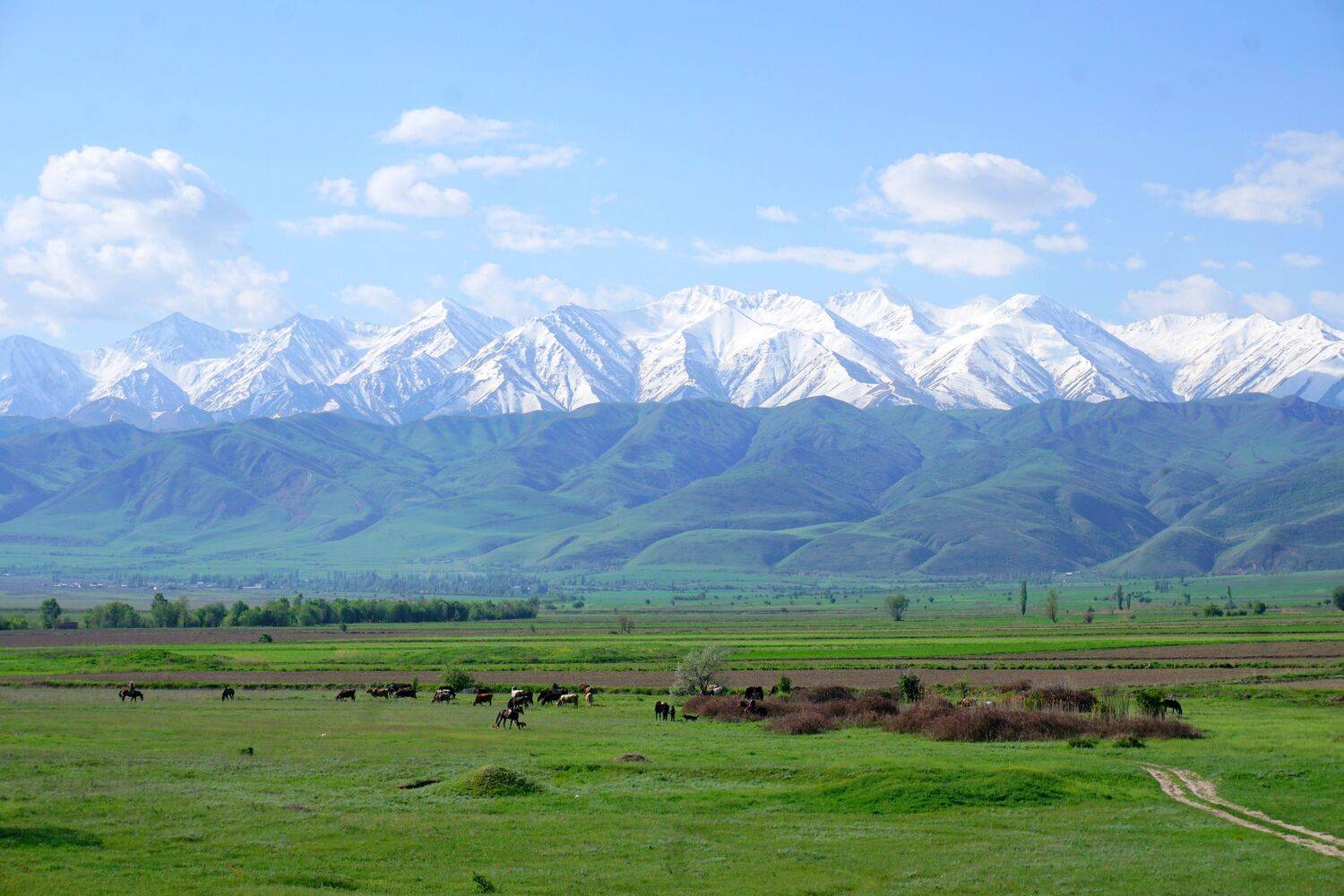 Горы Киргизии