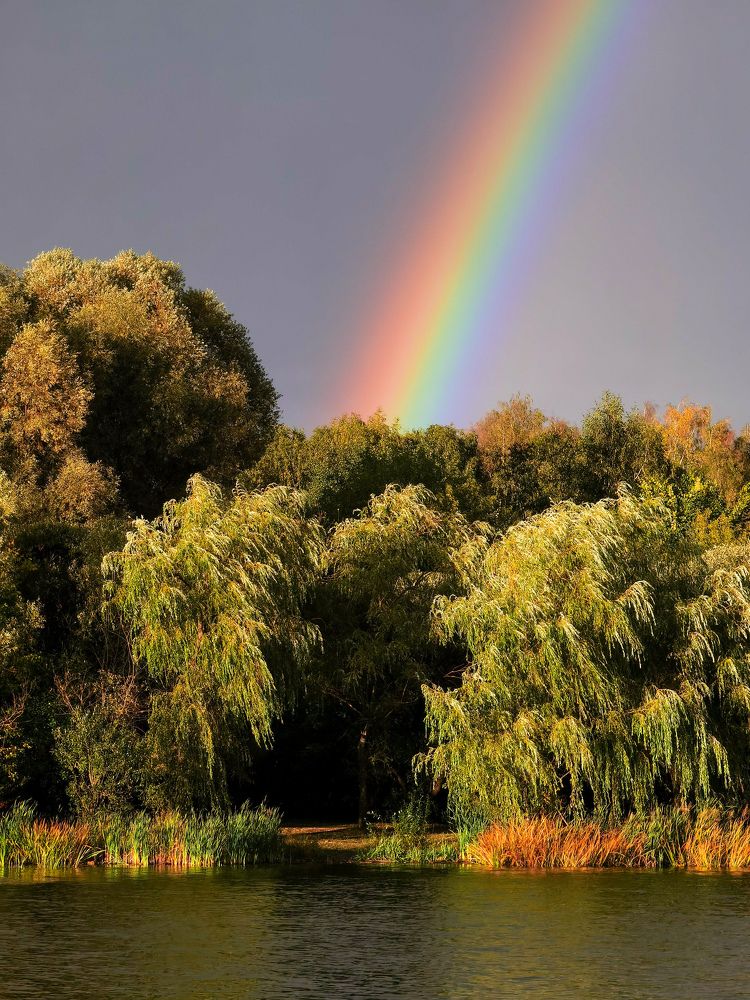 Photograph by Попов Виктор