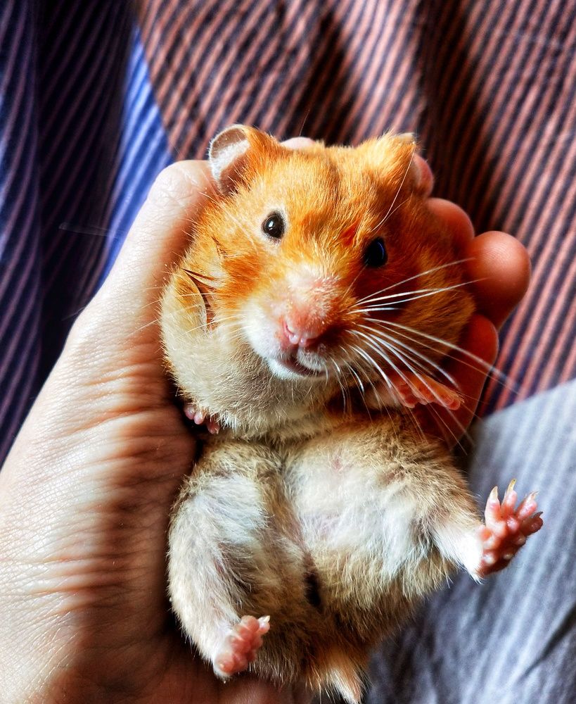 Photograph by Анна Дудко