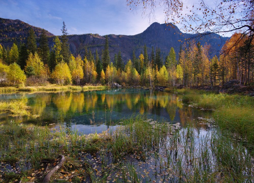 Photograph by Чичкин Валерий