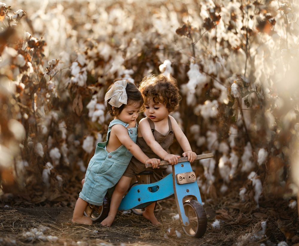 Photograph by avishag twito