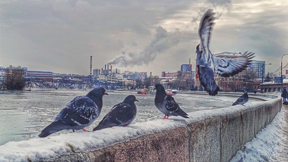 Photograph by Владимир Ковжаров