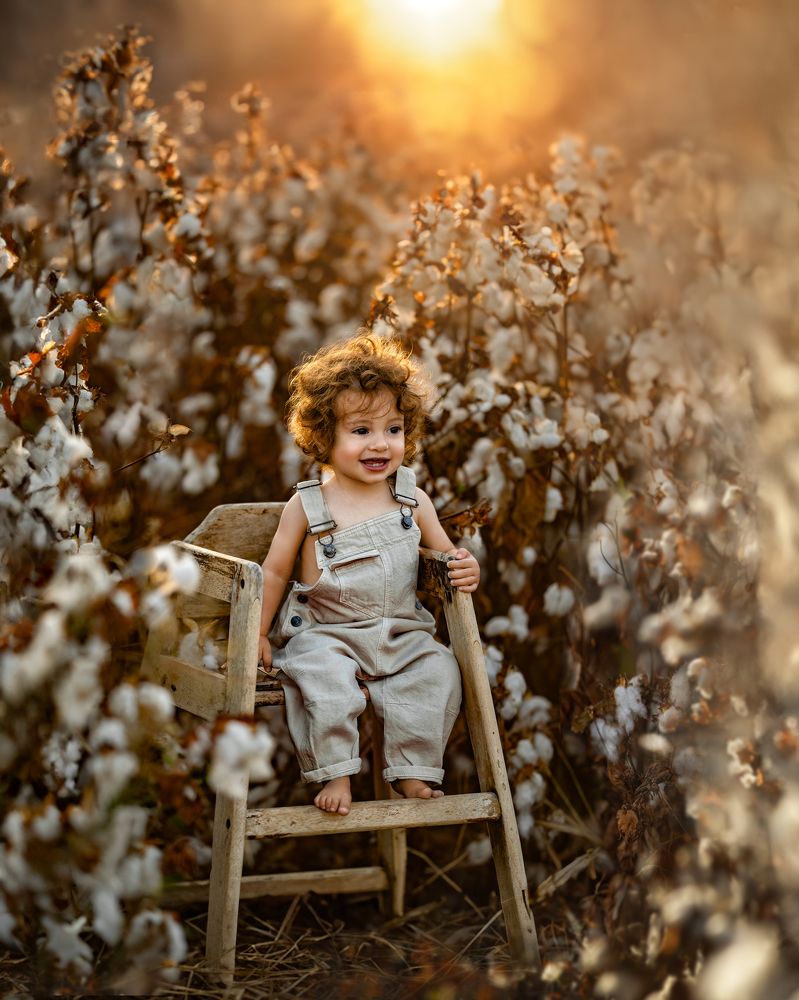 Photograph by avishag twito