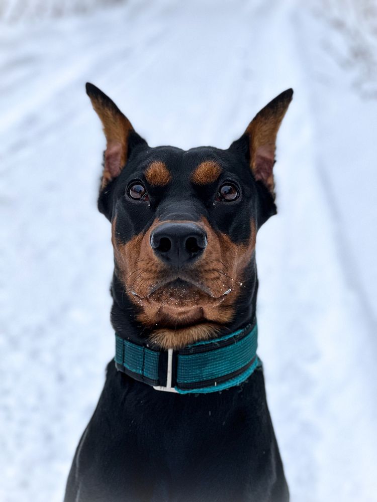 Photograph by Анжелика Александрова