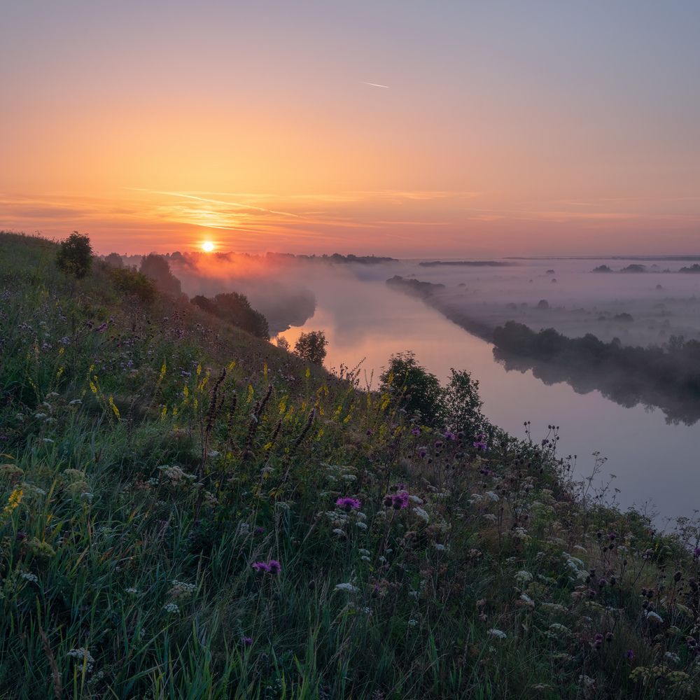 Photograph by Архипкин Александр