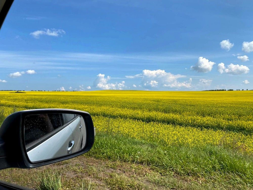 Photograph by Галина Мазур