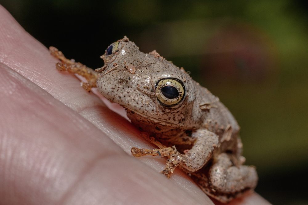 Photograph by Alexandre Canteiro Soares