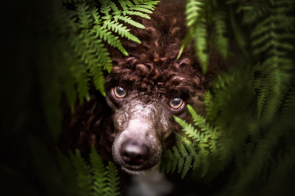 Photograph by Leticia Hernandez