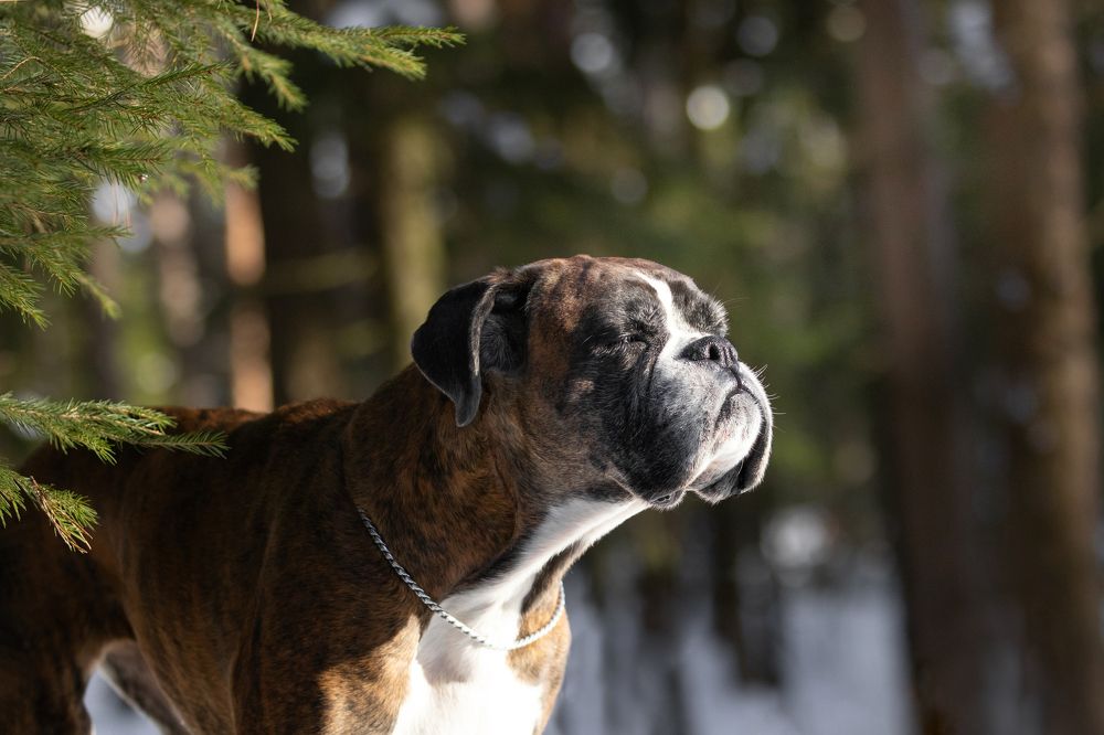 Photograph by Петракова Ольга