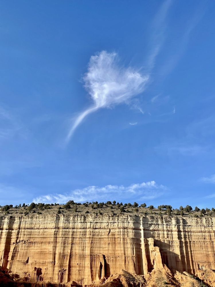 Photograph by Александр Белогаев